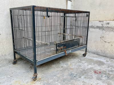 Iron Cage For Grey parrots
