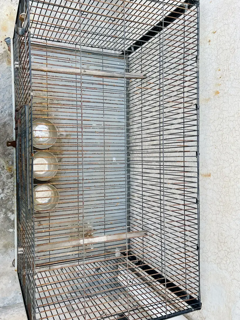 Iron Cage For Grey parrots — photo 3
