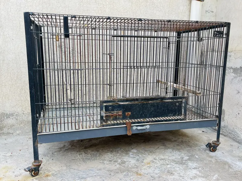 Iron Cage For Grey parrots — photo 4