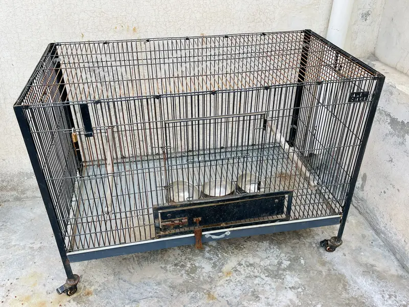 Iron Cage For Grey parrots — photo 5