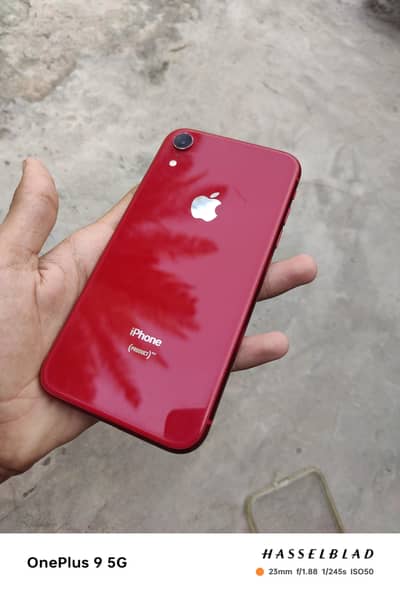 iphone XR 128gp 10/9.4