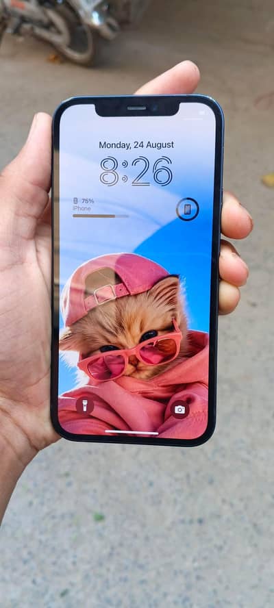 Apple iPhone 12  all, ok 
