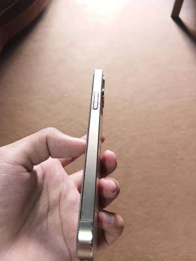 Apple iPhone 12 Pro