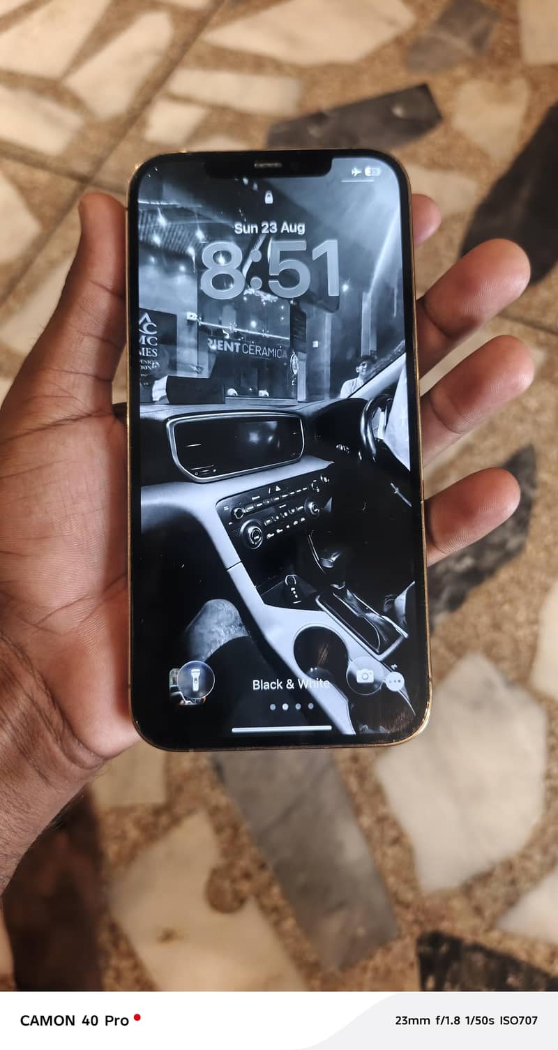 Apple iPhone 12 Pro Max 5