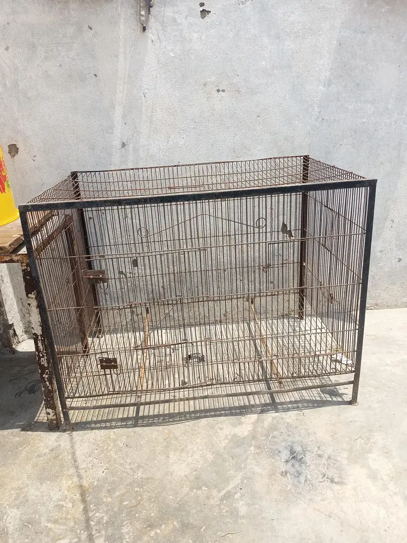 cage for bird — photo 8