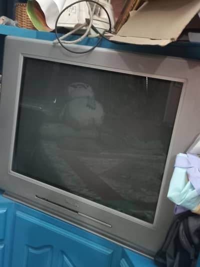 Philips tv