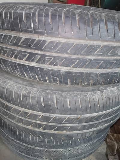 cultes tyre