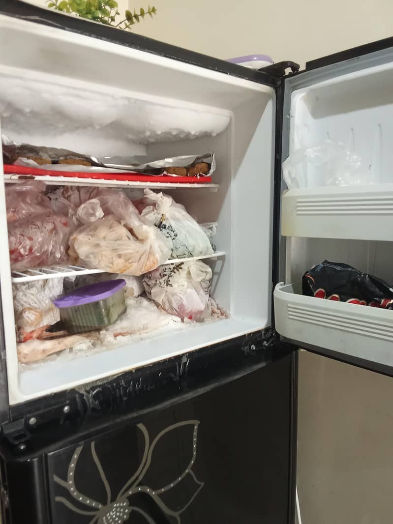 orient Refrigerator 1