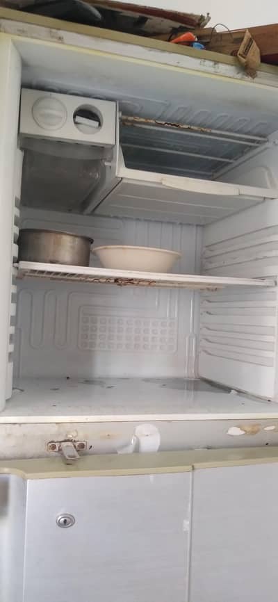 pel fridge full size