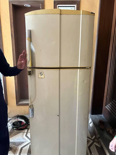 fridge old