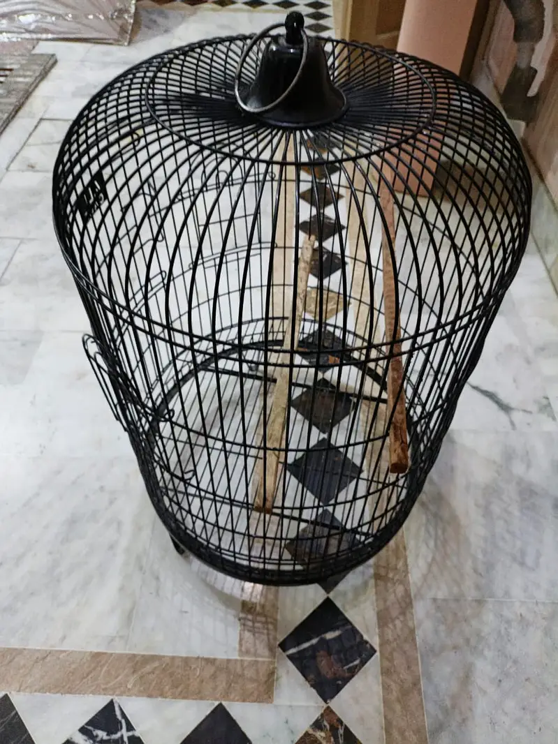 Parrot Cage for sale (Ali Cage Solid Iron) — photo 3