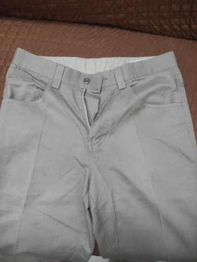 Dress pant