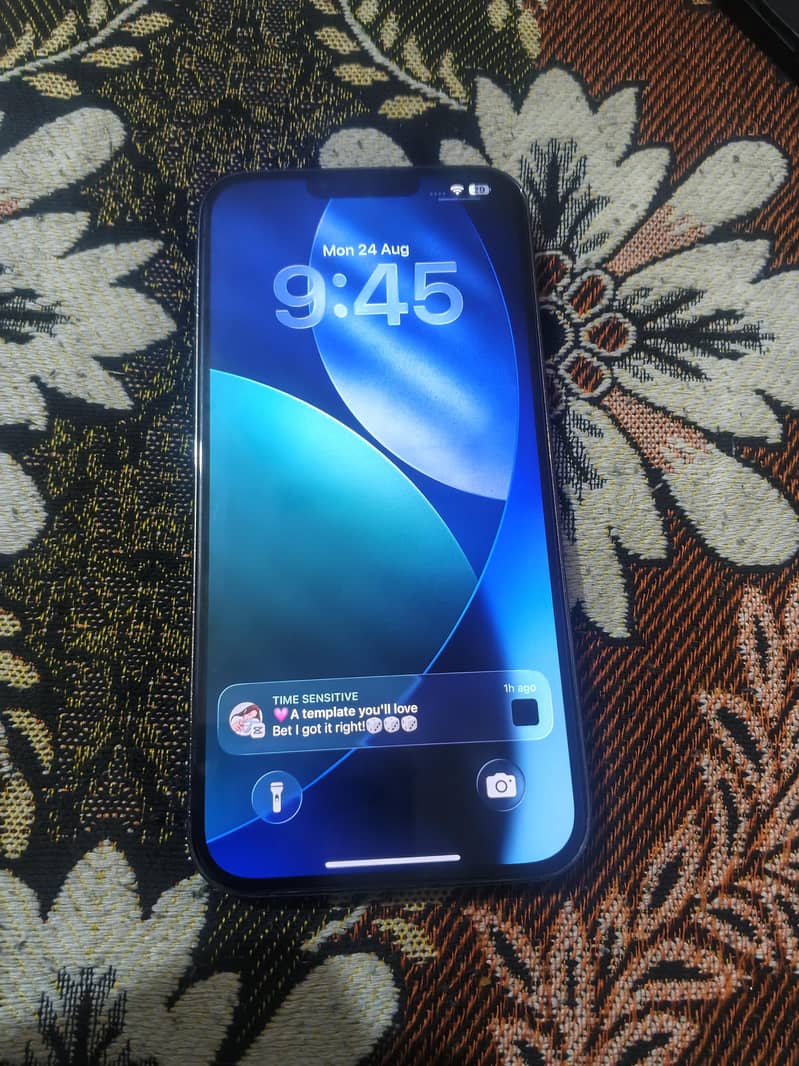 iPhone 13 Pro Max 0