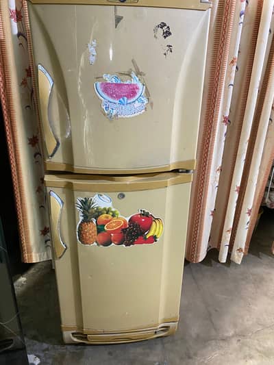 Pel fridge 15 years old