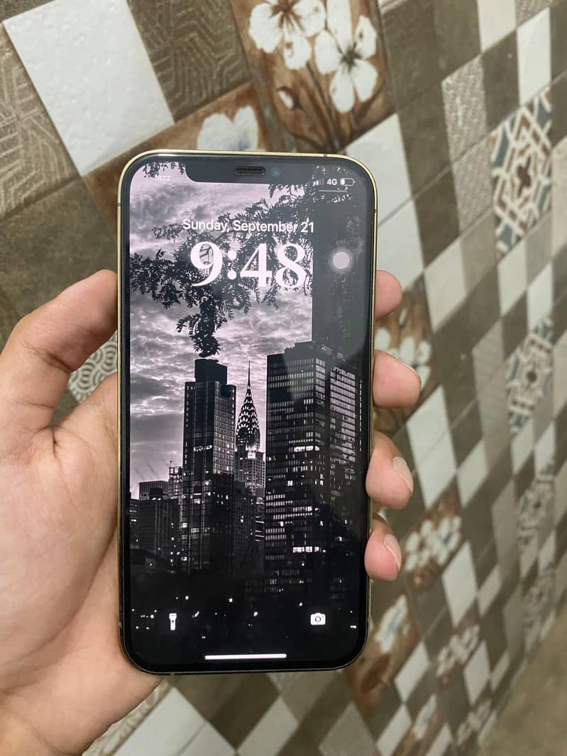 Apple iPhone 12 Pro 2