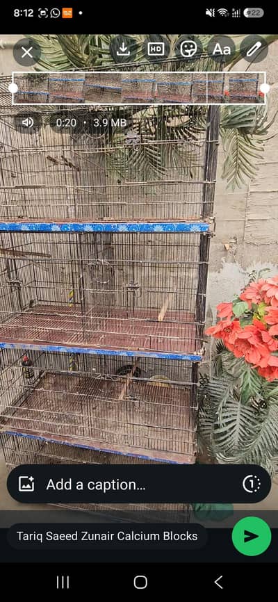 5star Cages