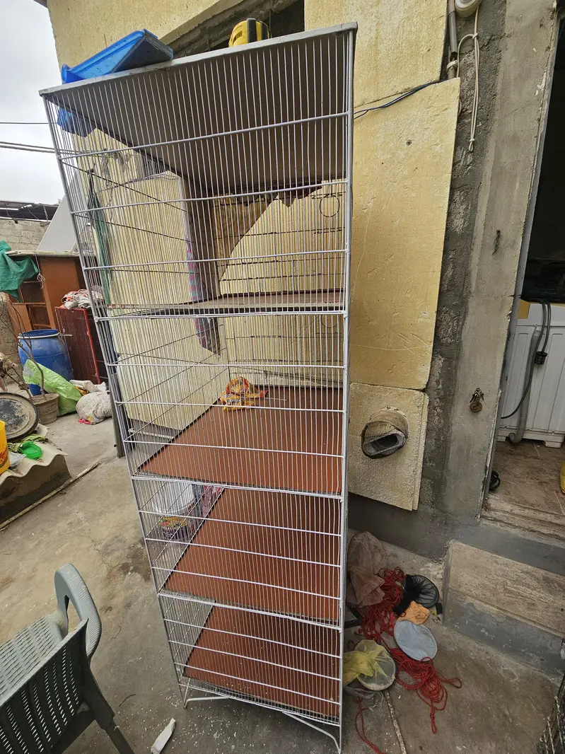 5star Cages — photo 5