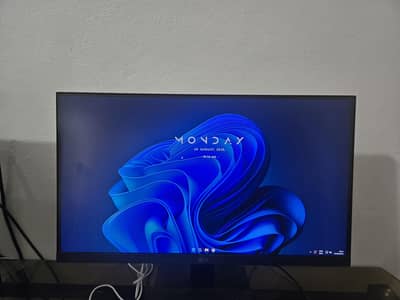 LG 100HZ 1080P Monitor