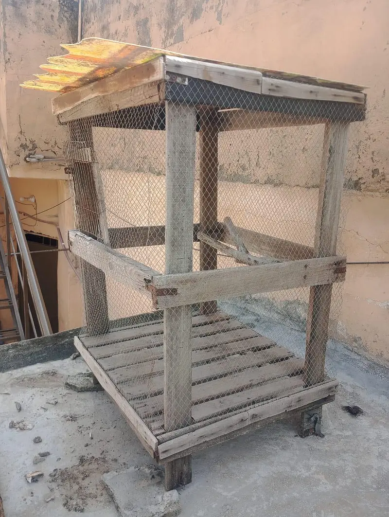 2/4 wooden cage — photo 2