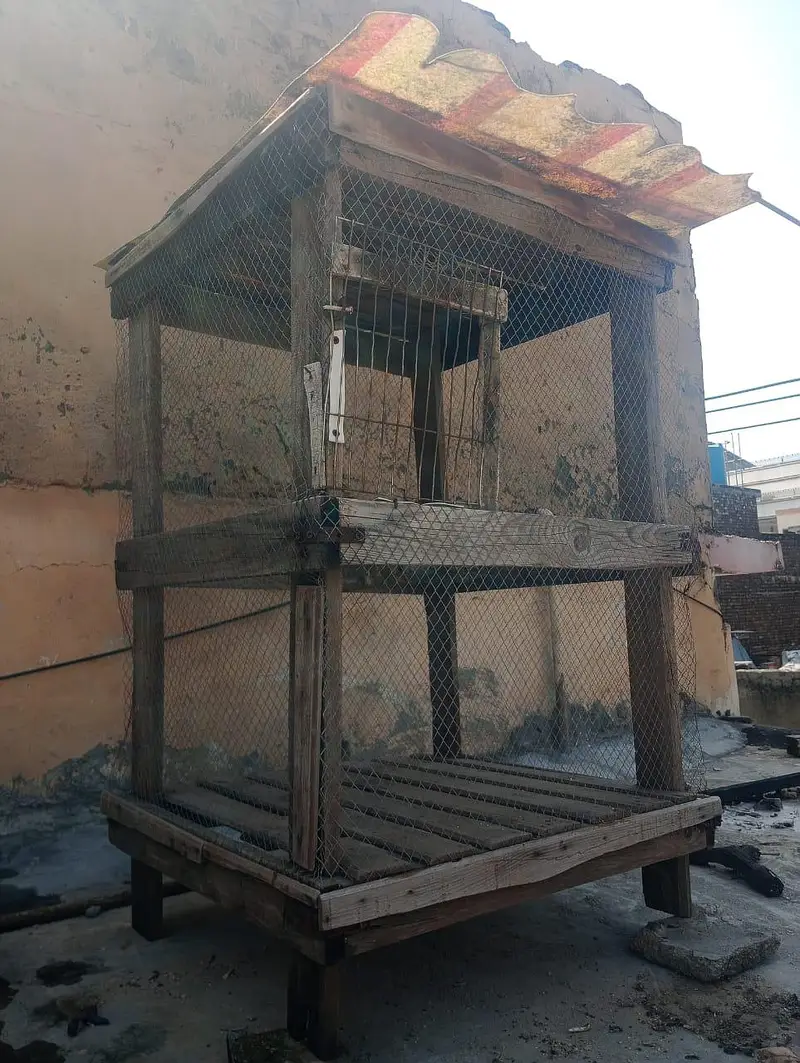 2/4 wooden cage — photo 4