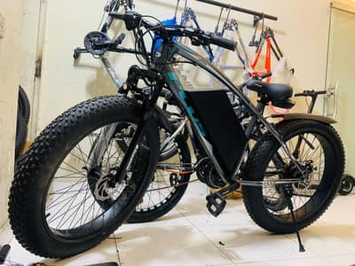 electric cycle Bicycle for sell