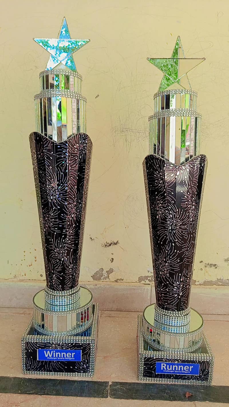 cricket trophy 0