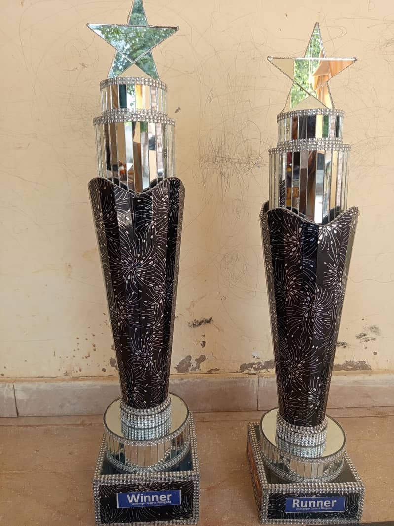 cricket trophy 1