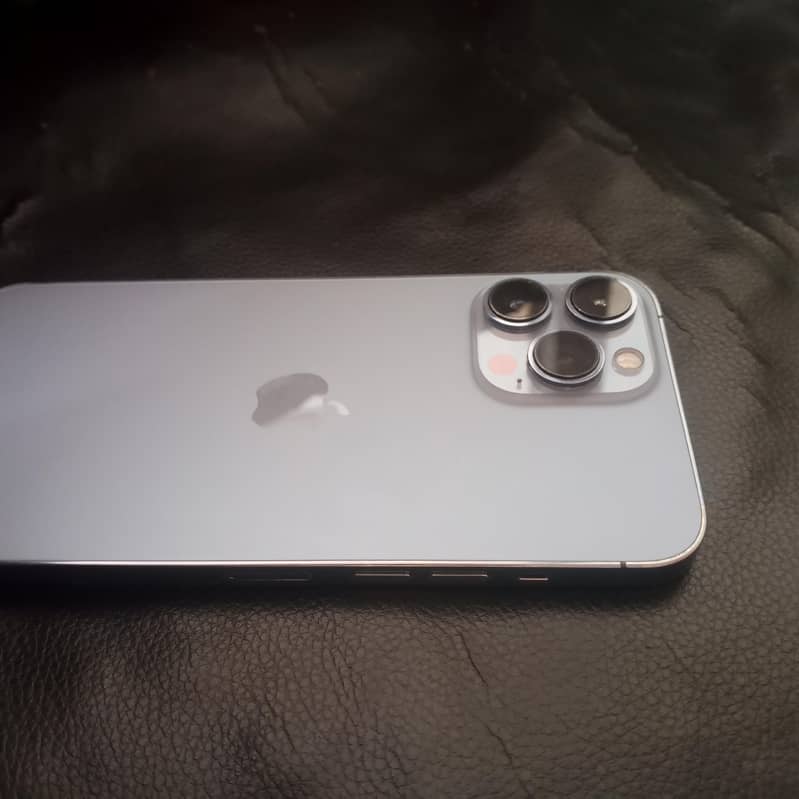 Apple iPhone 13 Pro Max 1