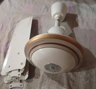 Ceiling Fan for Sale – Good Working Condition