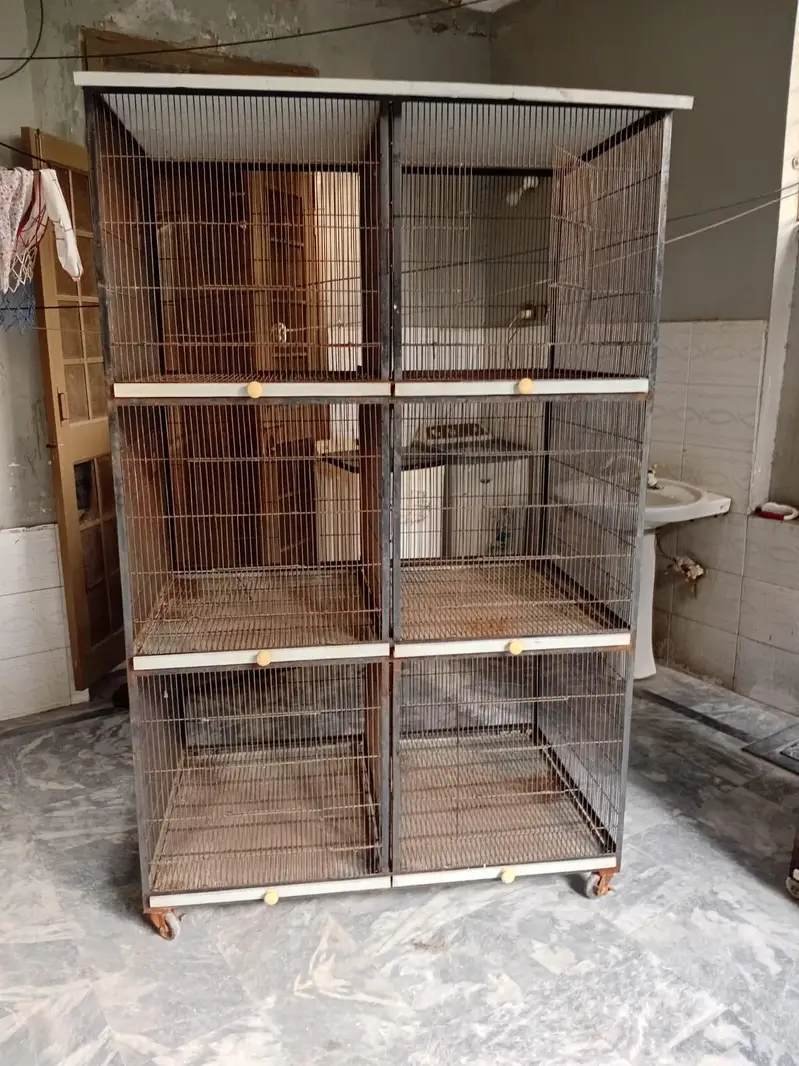 2 cage's — photo 2