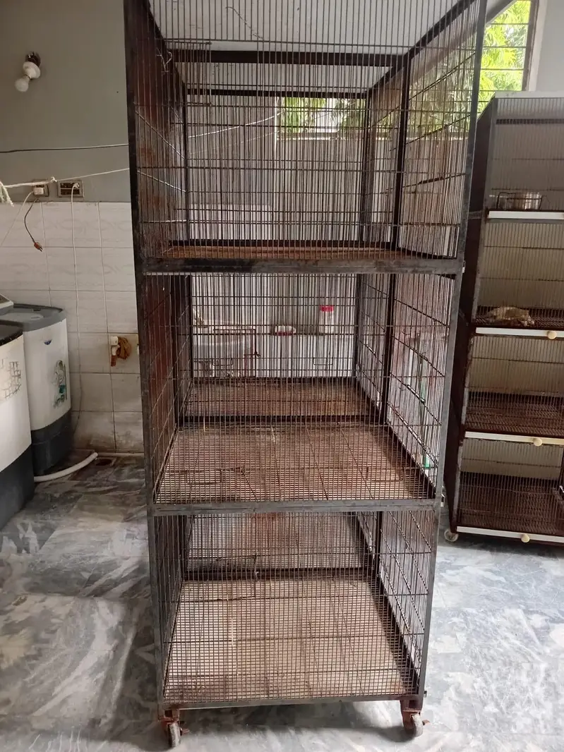 2 cage's — photo 3