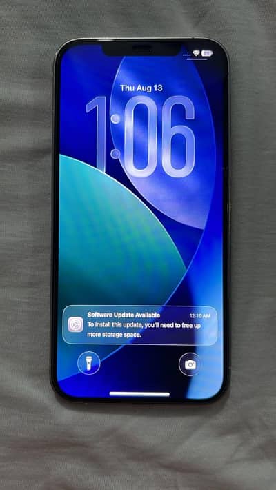 Apple iPhone 12 Pro Max