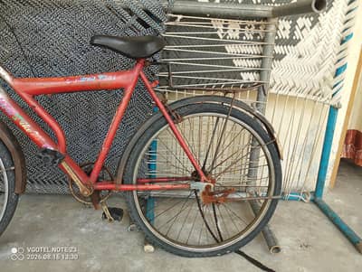 mountain bicycle for sale