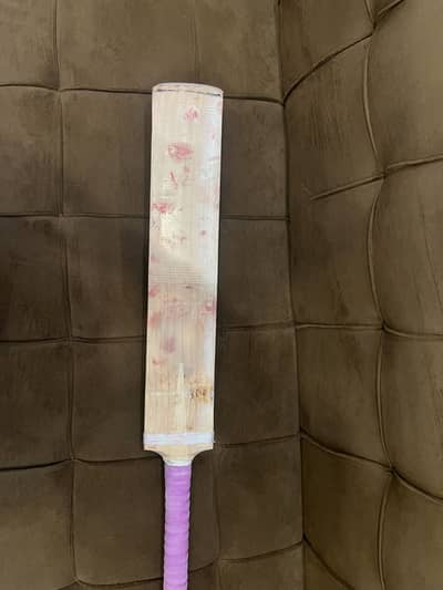 Bat for sale