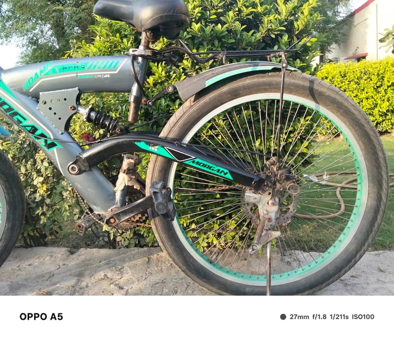 Cycle 4