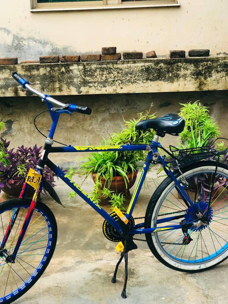 wheeling phoenix cycle 2