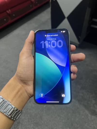 Apple iPhone 13 Pro Max