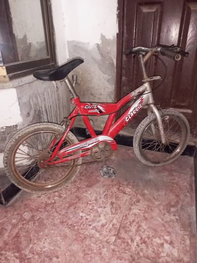 Cycle for 5 to 10 years kids