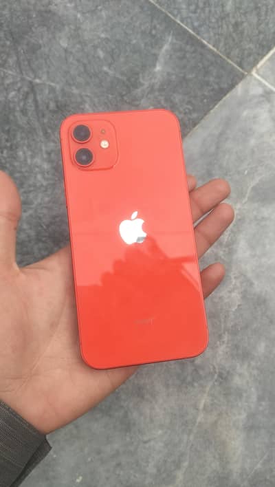 Apple iPhone 12  water pack 10/10
