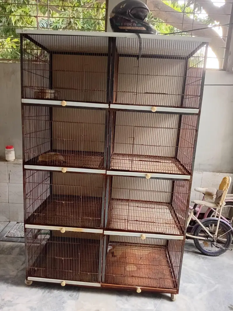 2 cage's — photo 2
