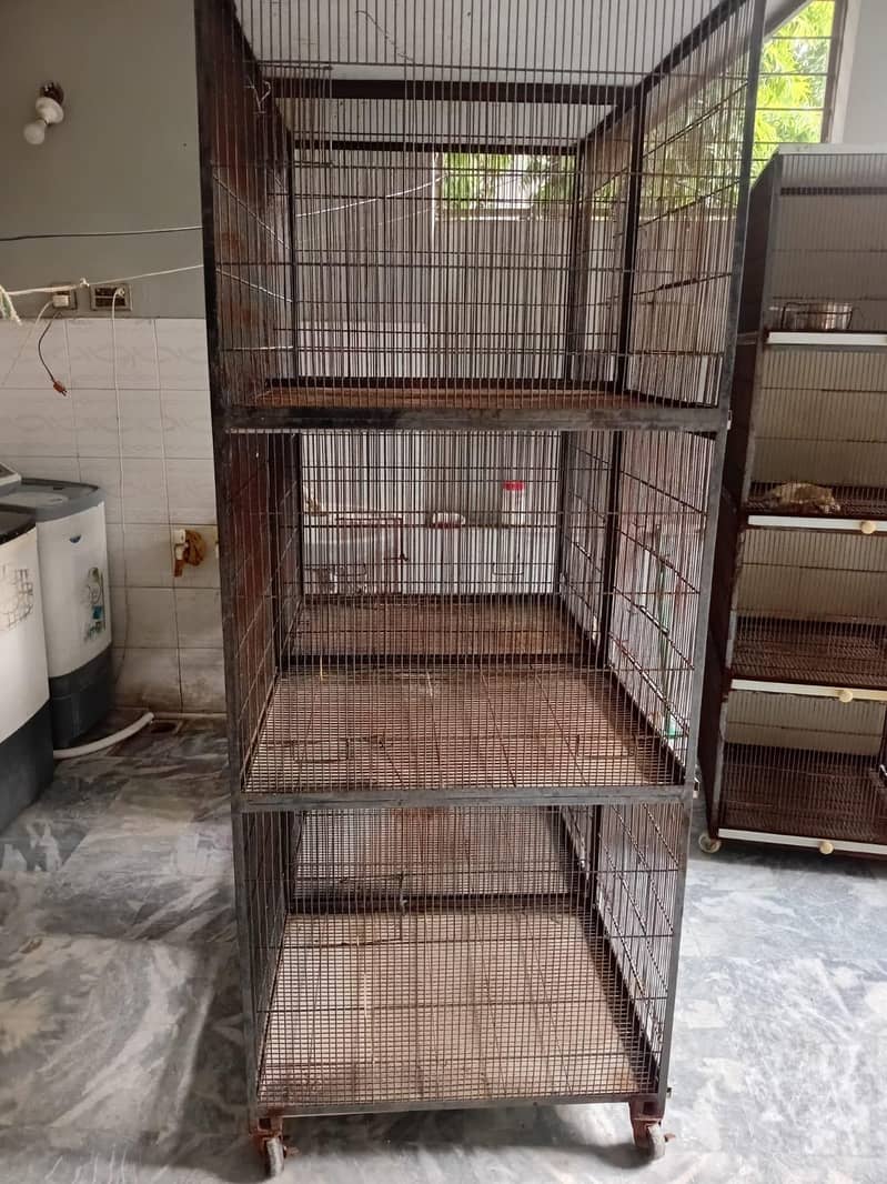 2 cage's 2