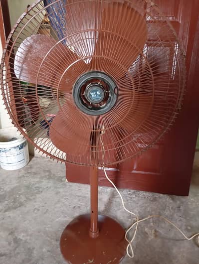 tabal fans