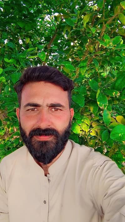 security gard ki job chahye rat ki