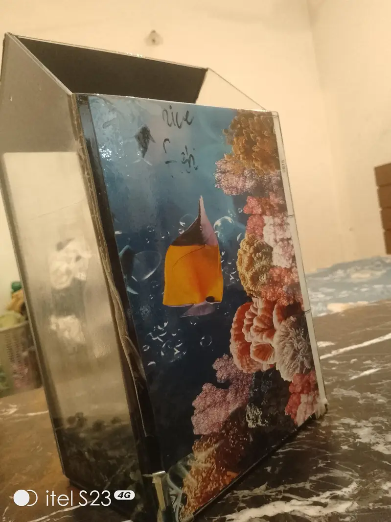 I was used this aquarium this aquarium rate 9/10 — photo 3