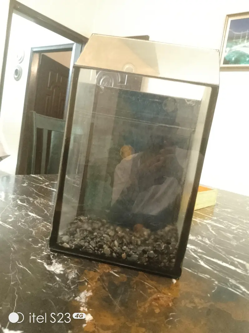 I was used this aquarium this aquarium rate 9/10 — photo 4