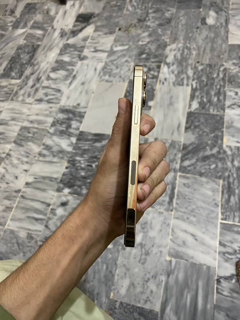 Apple iPhone 13 Pro Max 1