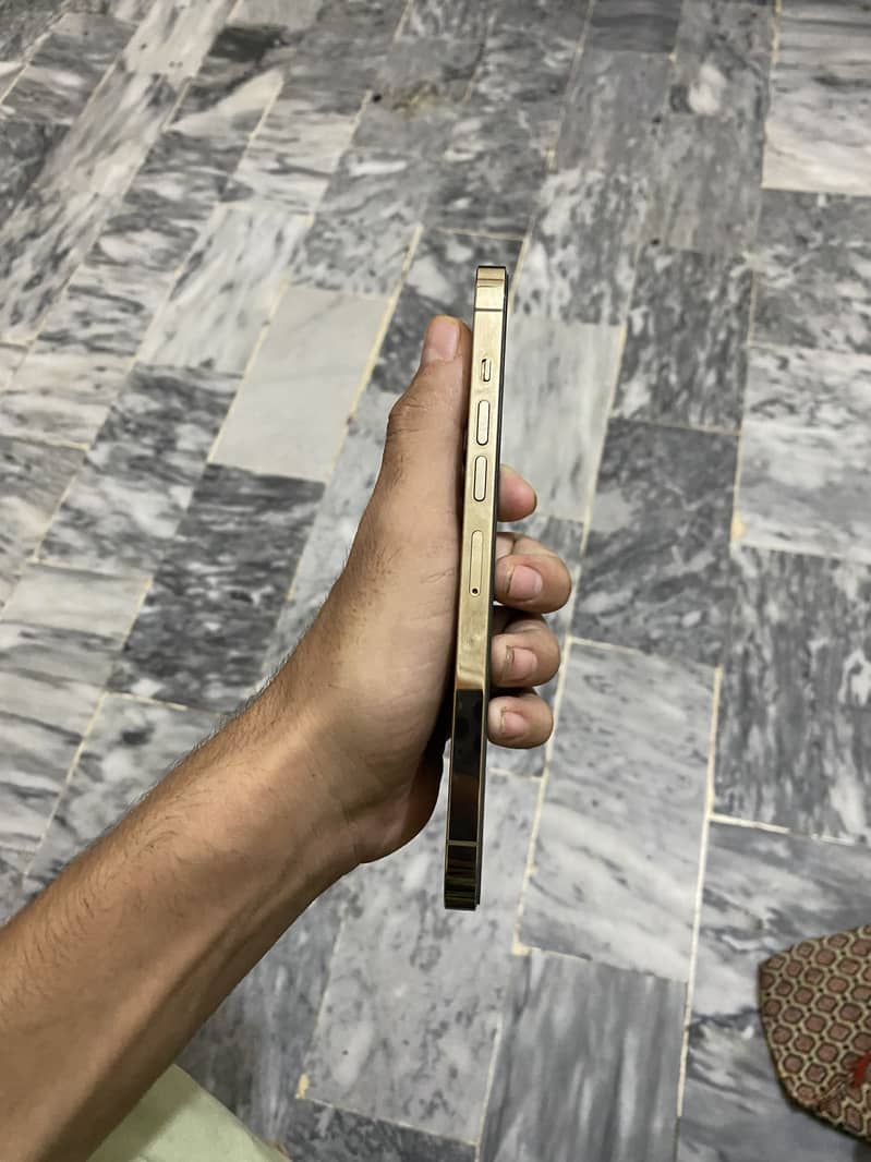 Apple iPhone 13 Pro Max 2