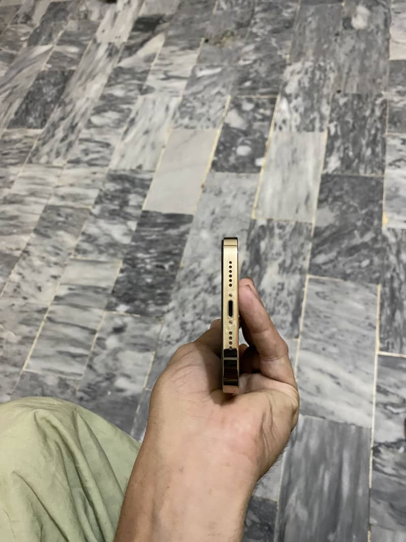 Apple iPhone 13 Pro Max 4