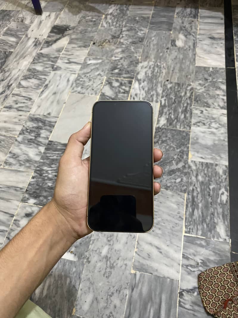 Apple iPhone 13 Pro Max 5
