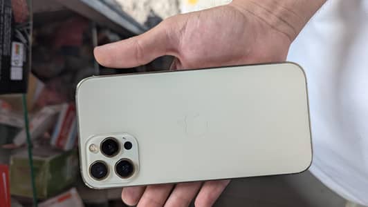 Apple iPhone 12 Pro Max